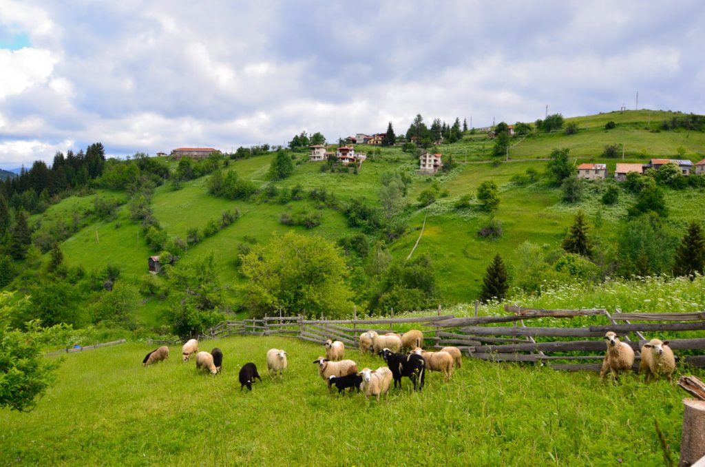 КРАСИВА БЪЛГАРИЯ, хижа Перелик